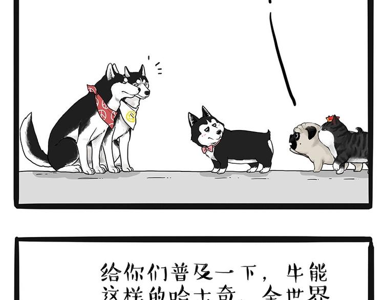 第175话 狗中王者22