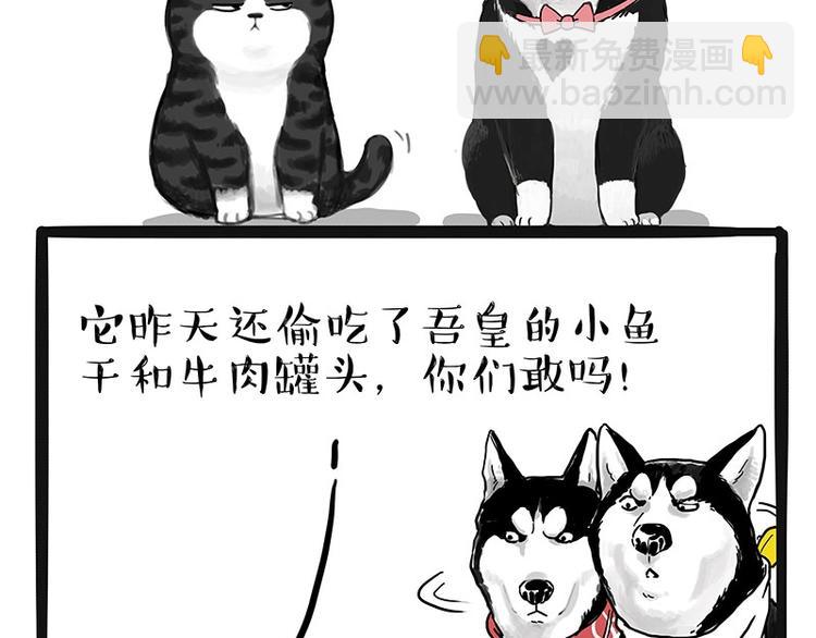 第175话 狗中王者31