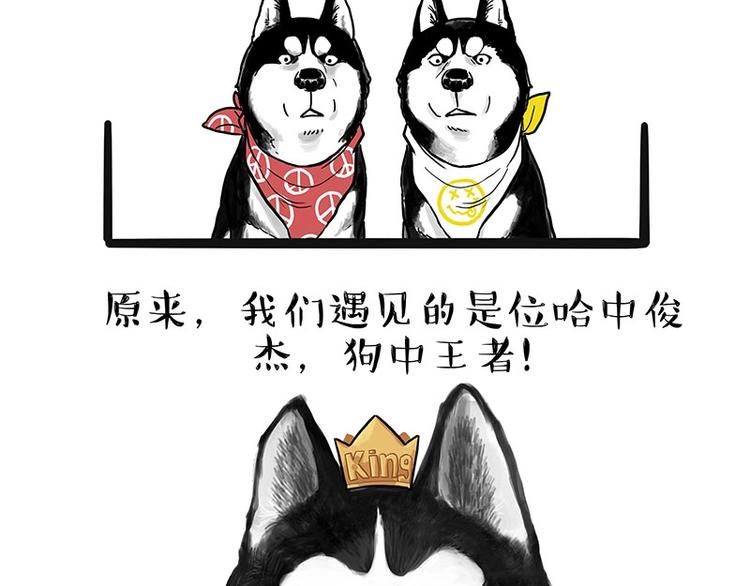 第175话 狗中王者36