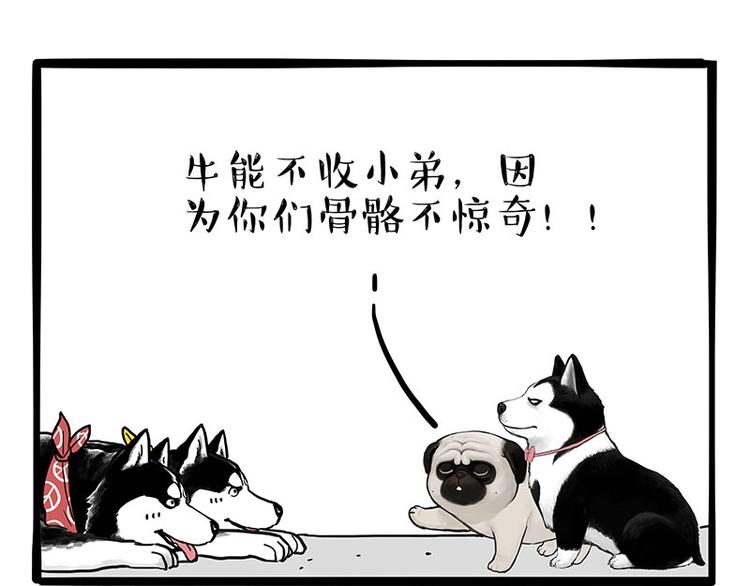 第175话 狗中王者40