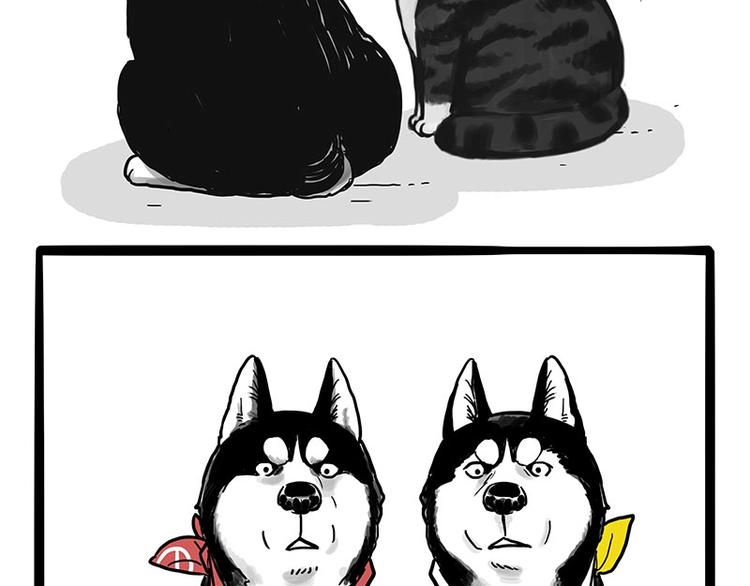 第175话 狗中王者44