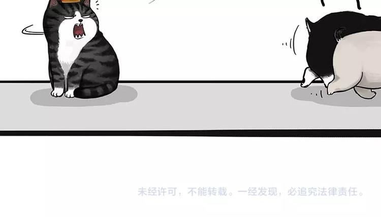 第175话 狗中王者64