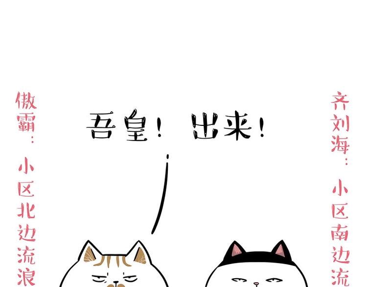 第189话 就你胖，还能浪0