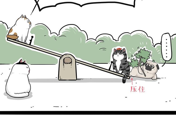 第189话 就你胖，还能浪15