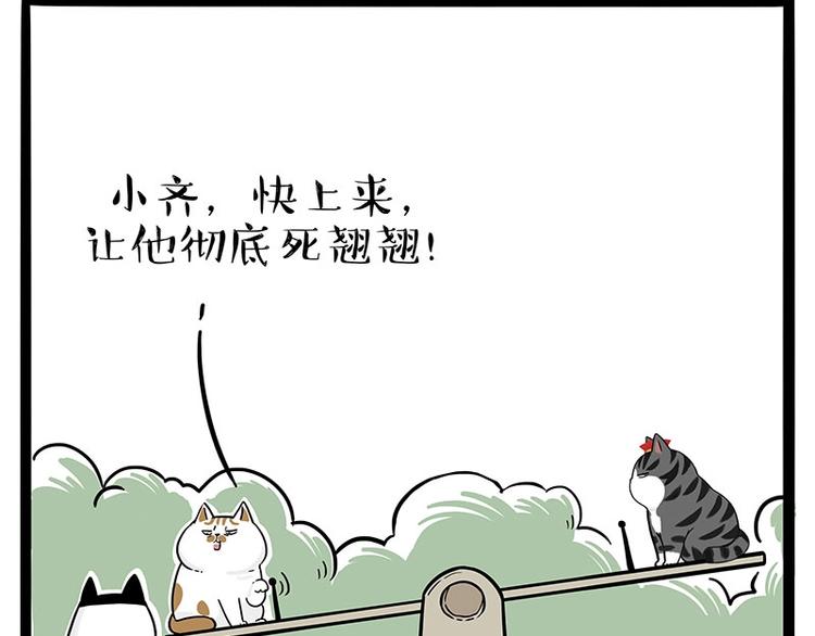 第189话 就你胖，还能浪19