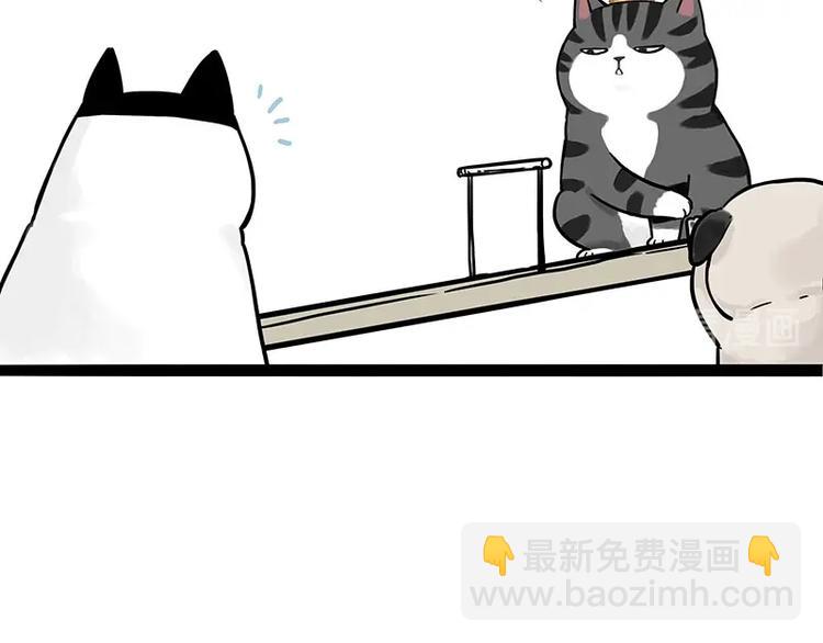 第189话 就你胖，还能浪21