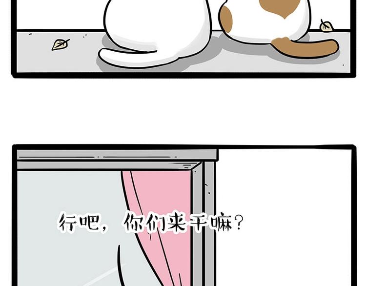 第189话 就你胖，还能浪3