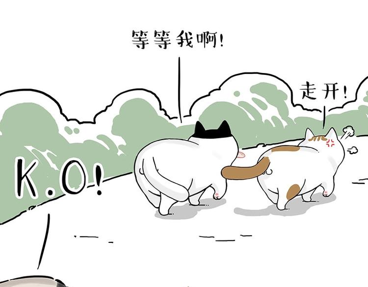 第189话 就你胖，还能浪39