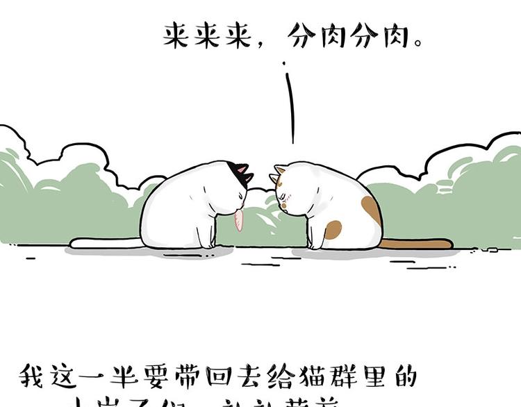 第189话 就你胖，还能浪44