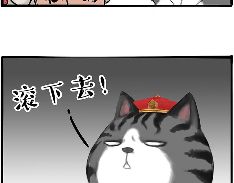 第197话 猫怼狗13