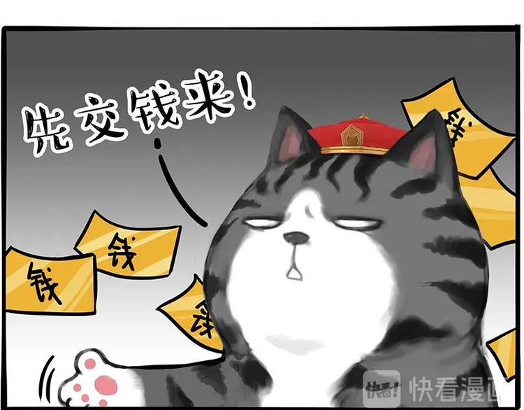 第197话 猫怼狗29