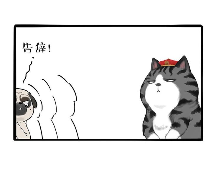 第197话 猫怼狗36