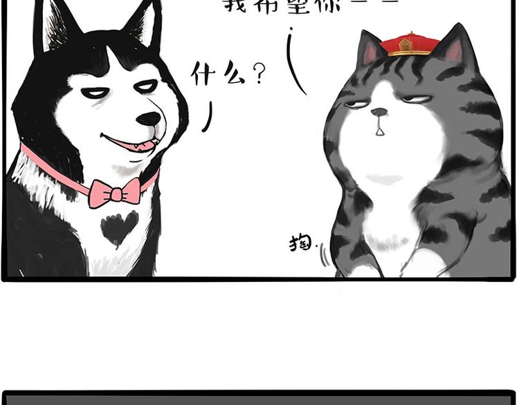 第197话 猫怼狗39