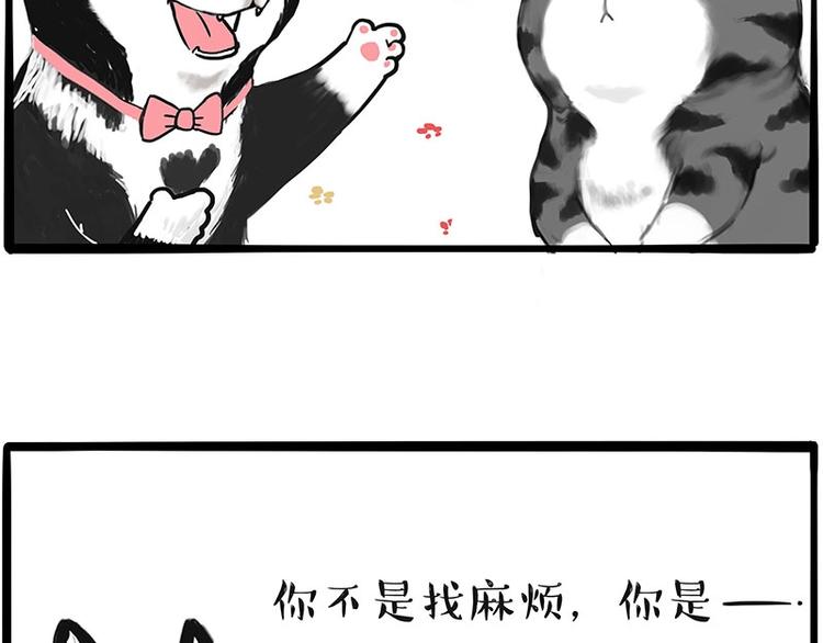 第197话 猫怼狗58