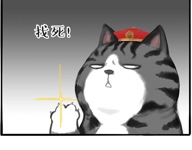 第197话 猫怼狗60