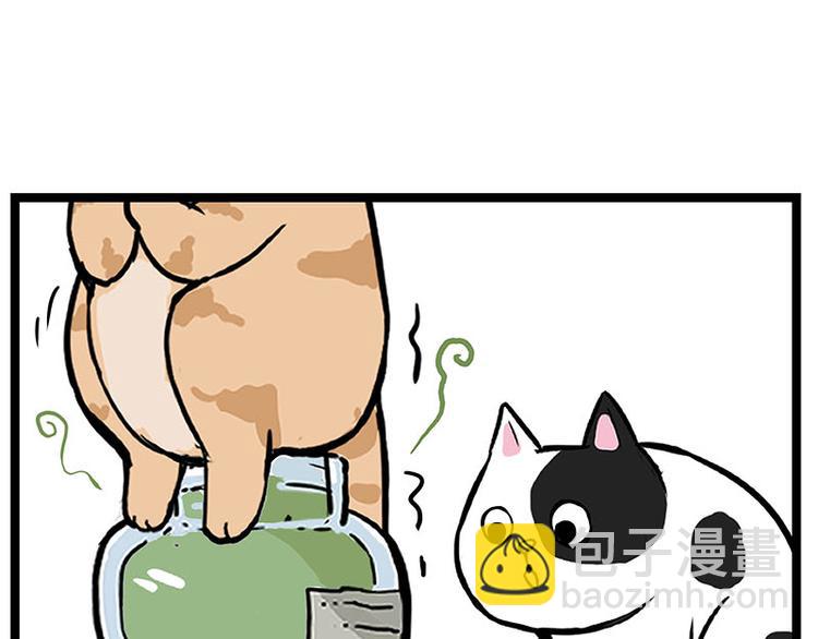 第239话 “屁”的战争10