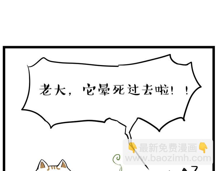 第239话 “屁”的战争15