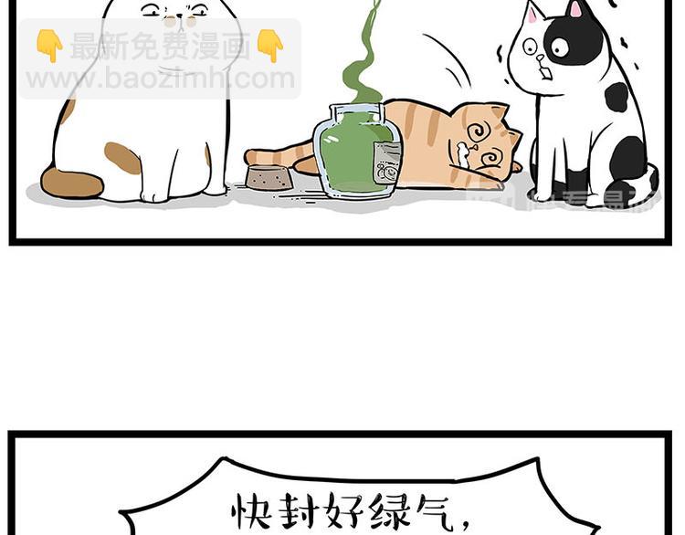 第239话 “屁”的战争16