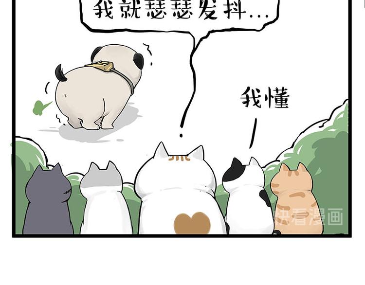 第239话 “屁”的战争24