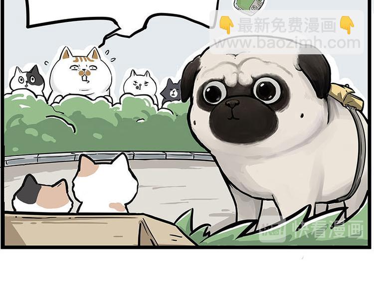 第239话 “屁”的战争32