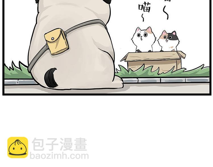 第239话 “屁”的战争34
