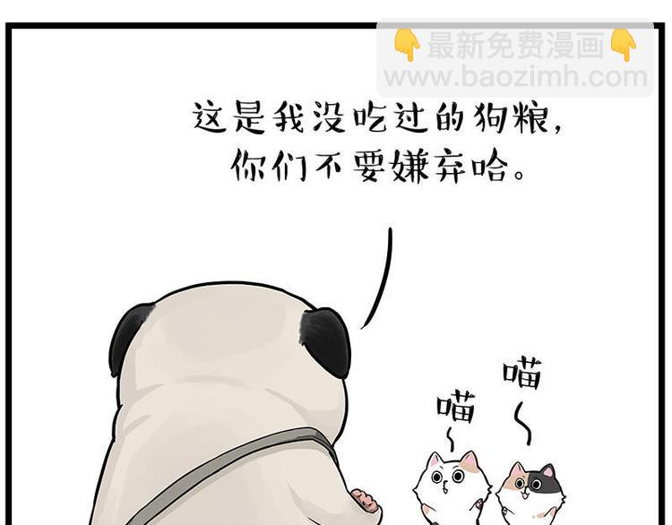 第239话 “屁”的战争35