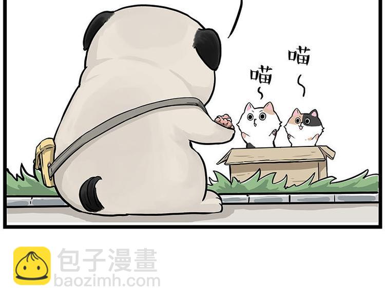 第239话 “屁”的战争37