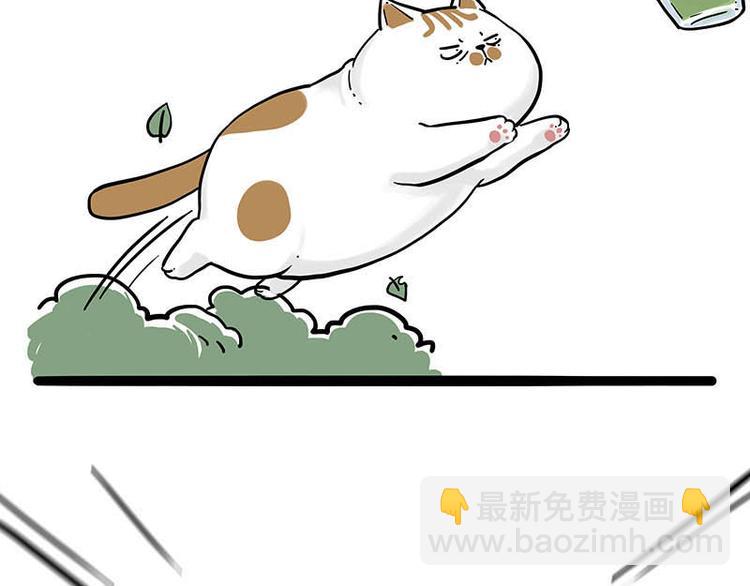 第239话 “屁”的战争43