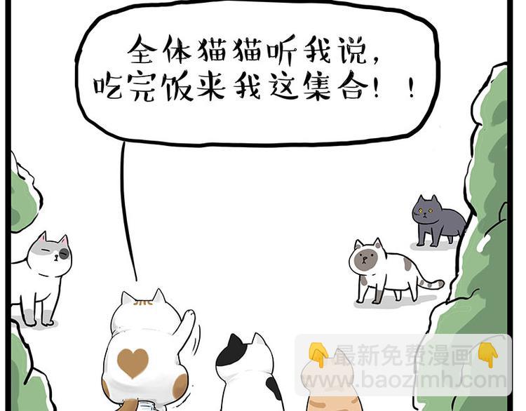 第239话 “屁”的战争7