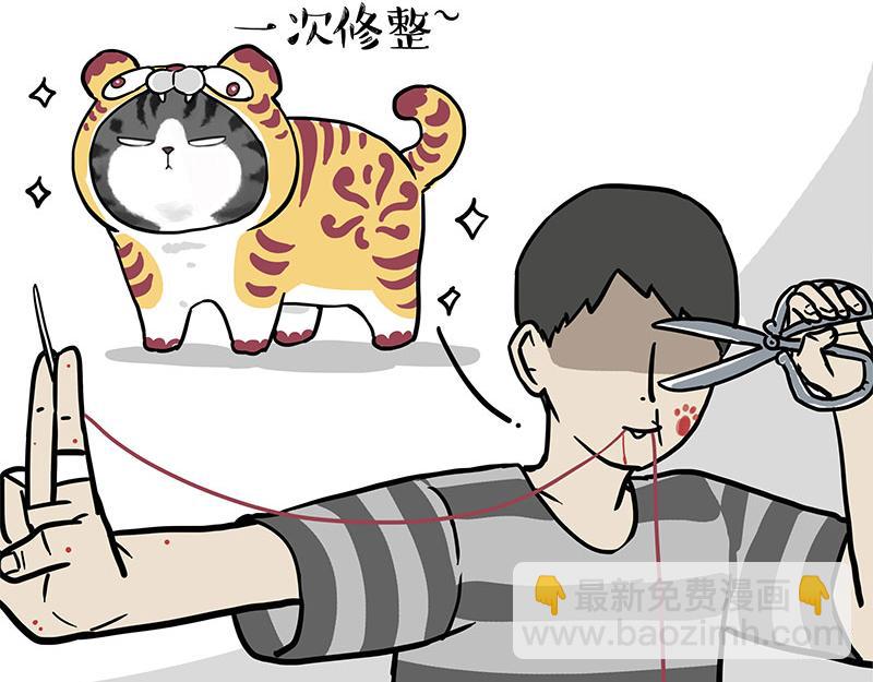 第296话 披着虎皮的猫14
