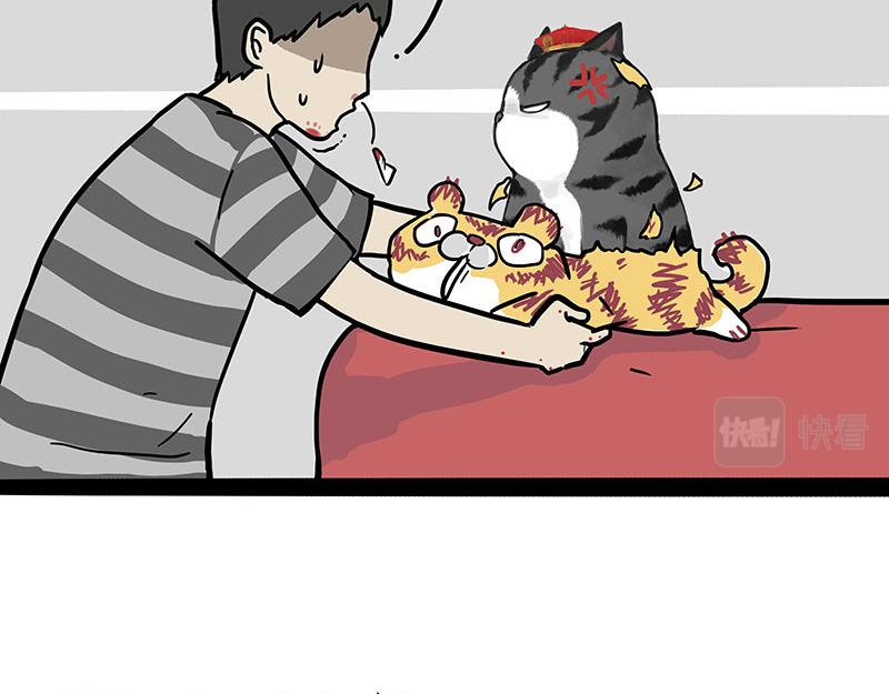 第296话 披着虎皮的猫31