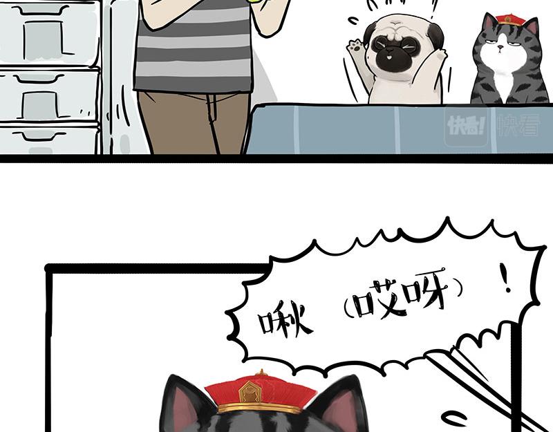 第335话 你太菜了1