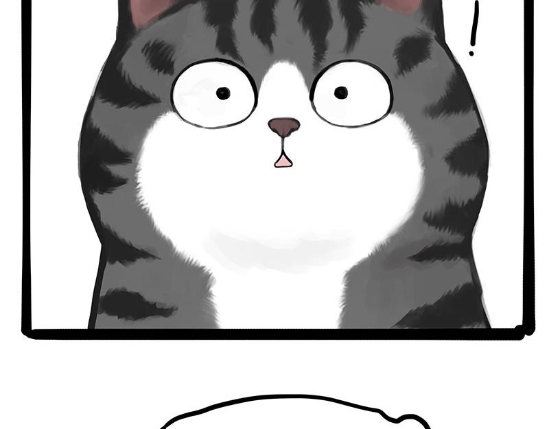 第430话 胖了25