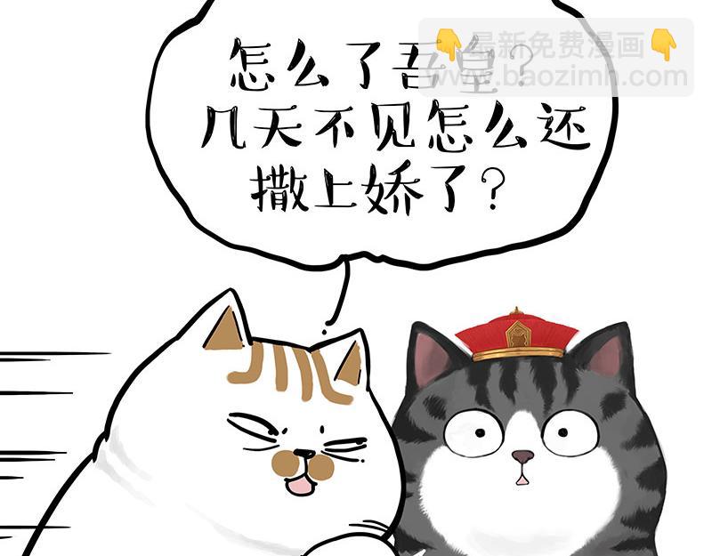 第430话 胖了26