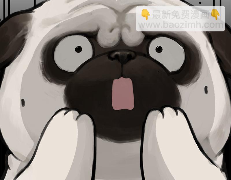 第462话 鸽王（被迫版）33