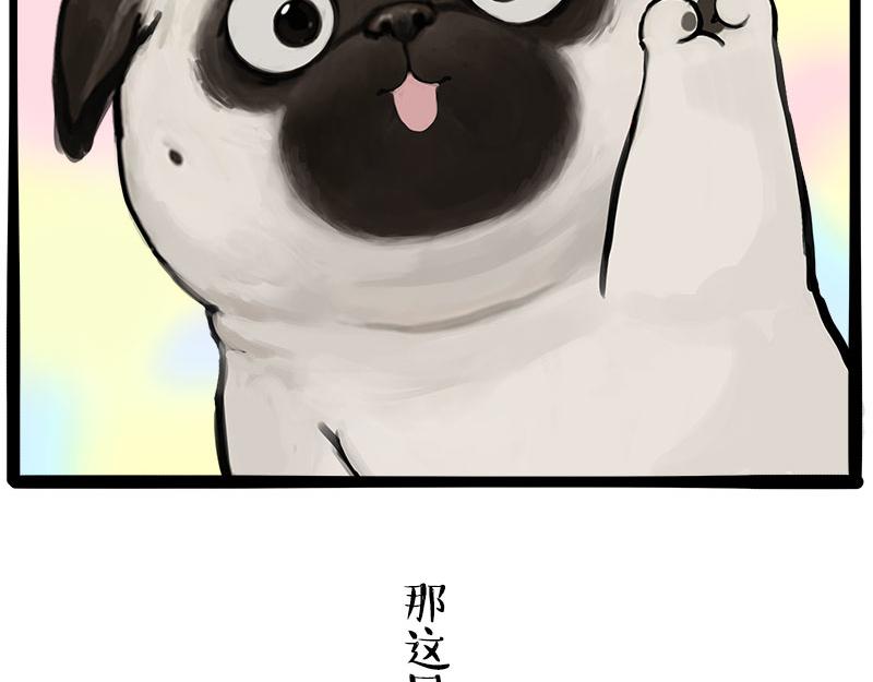 第462话 鸽王（被迫版）65
