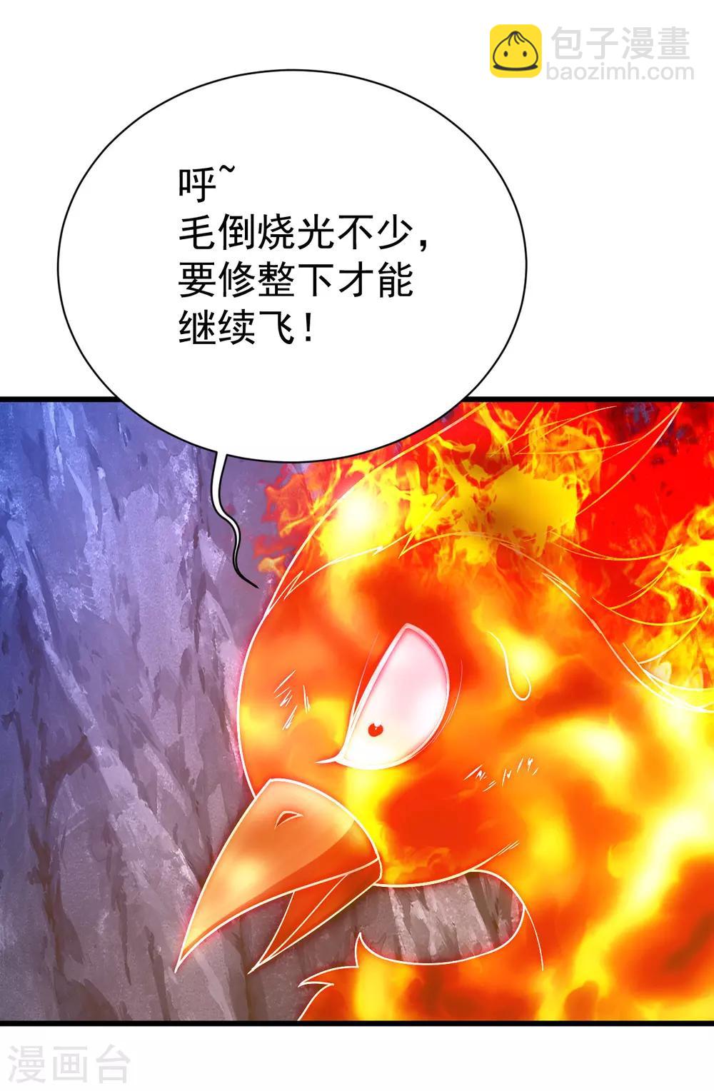 第118话 赤火灵鸟带我飞！19