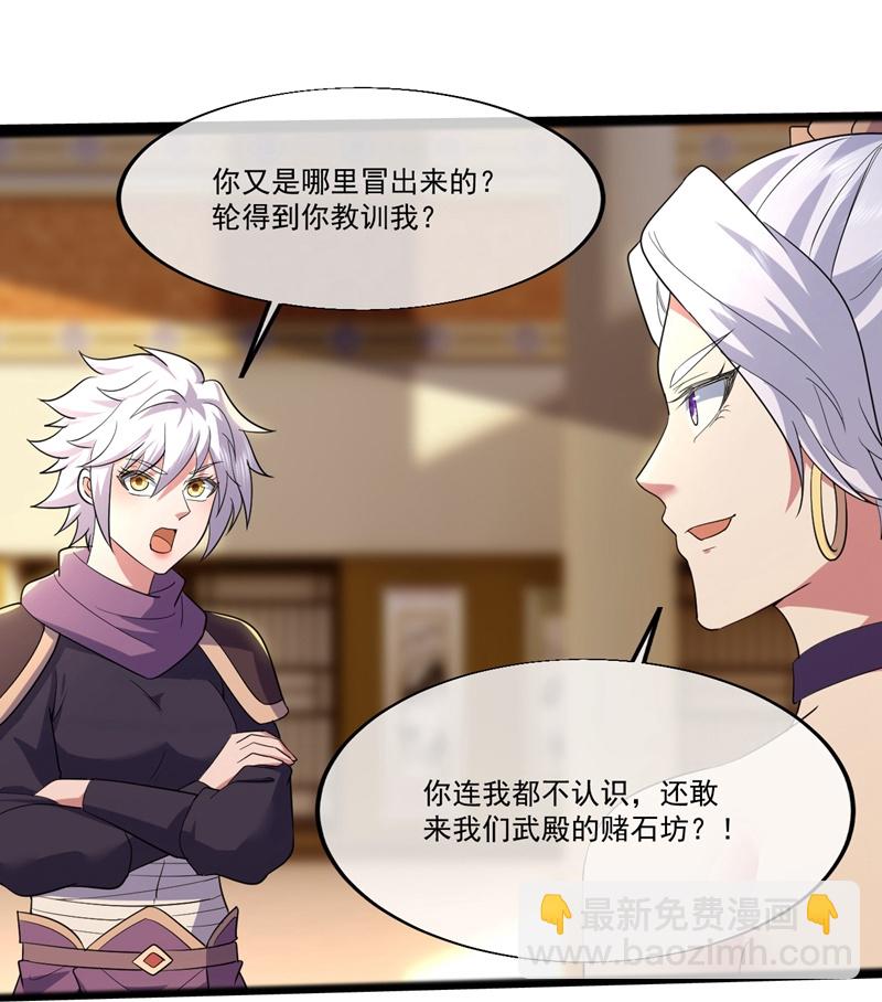 第409话 神城赌石22