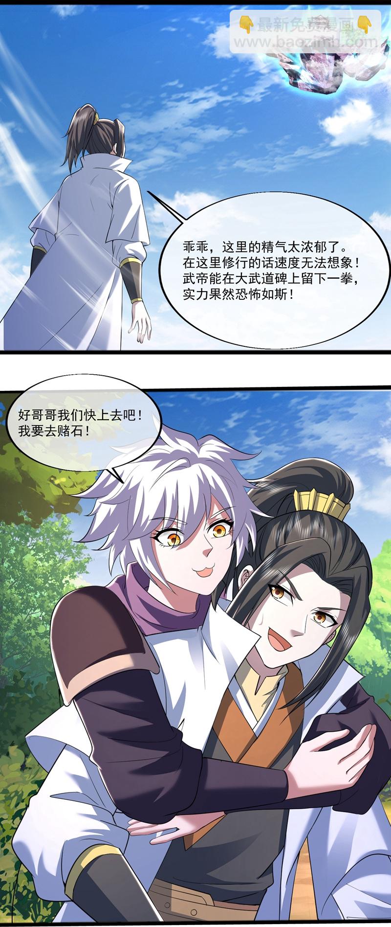 第409话 神城赌石7