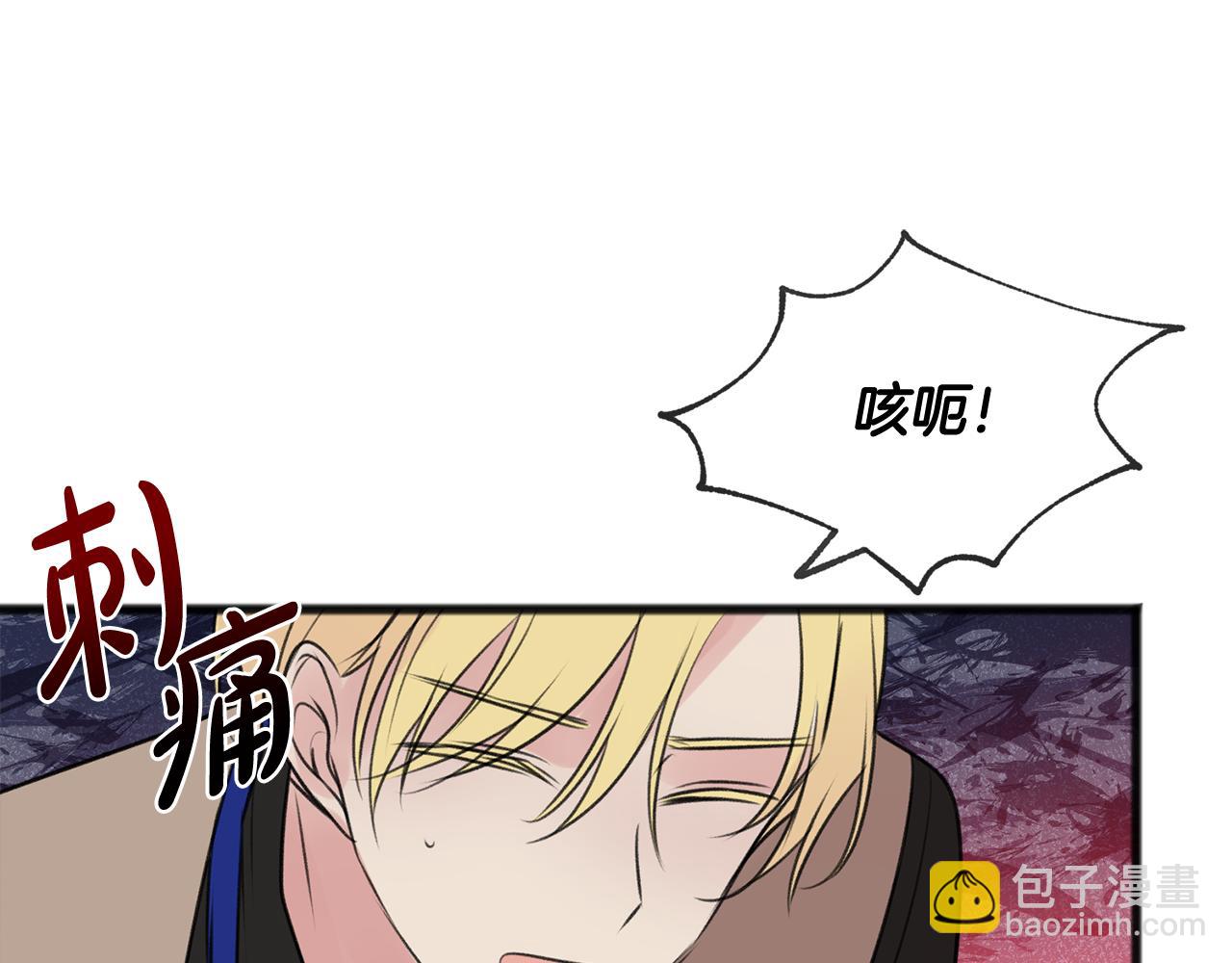 第29话 遇刺11