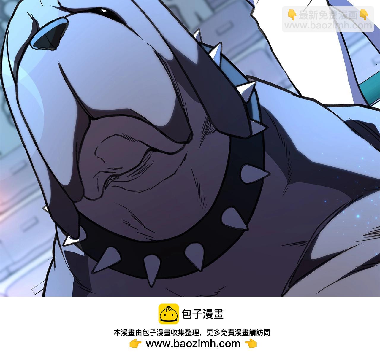 第40话 驯兽大赛（加更）165