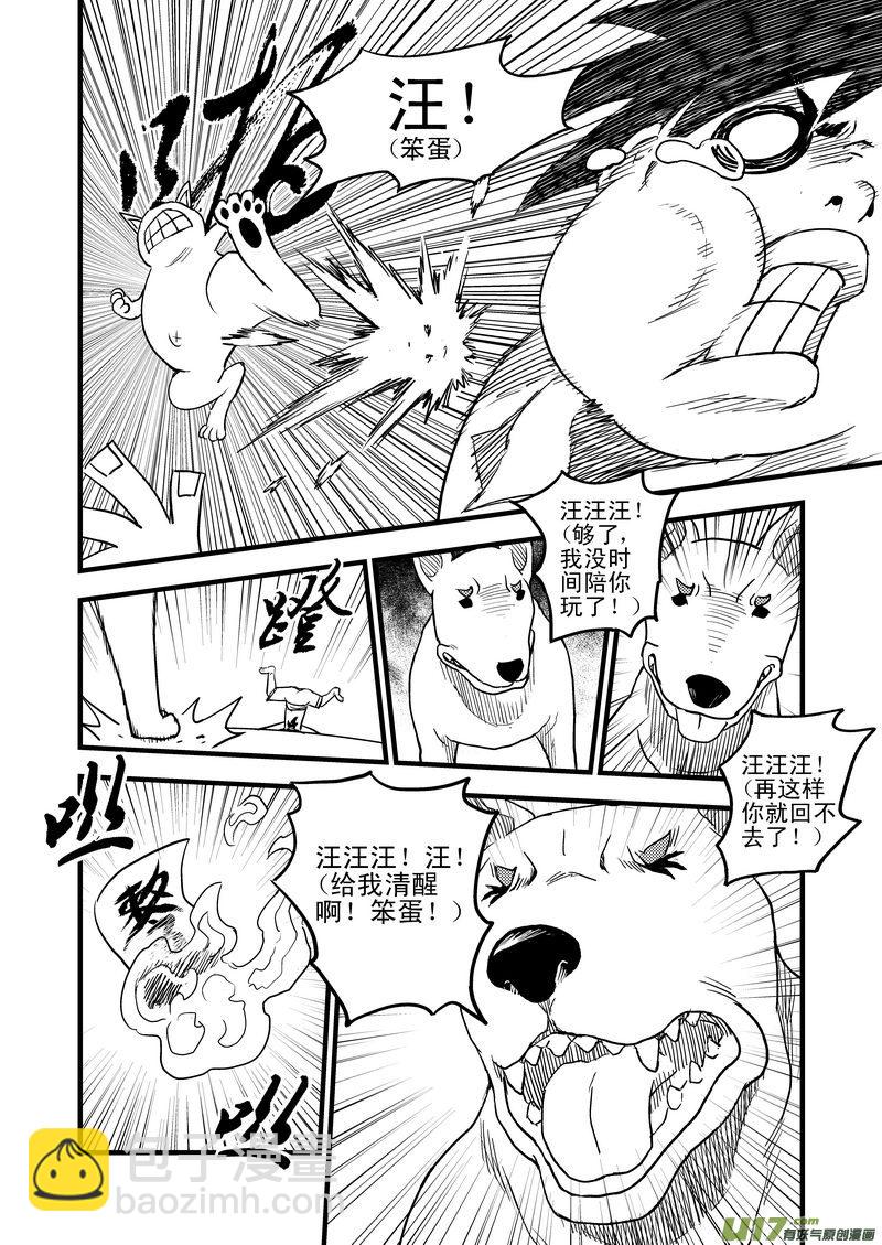 26 我不是小白14