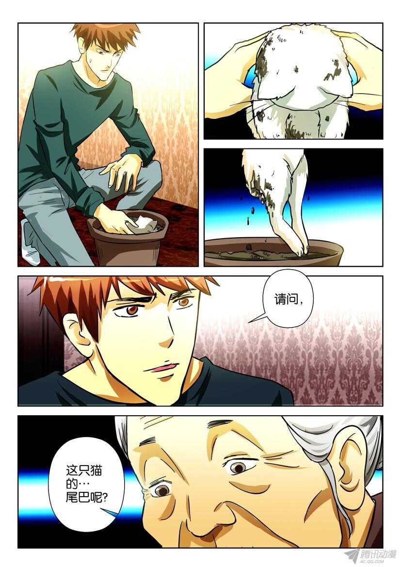 第一百六十九回 种猫0
