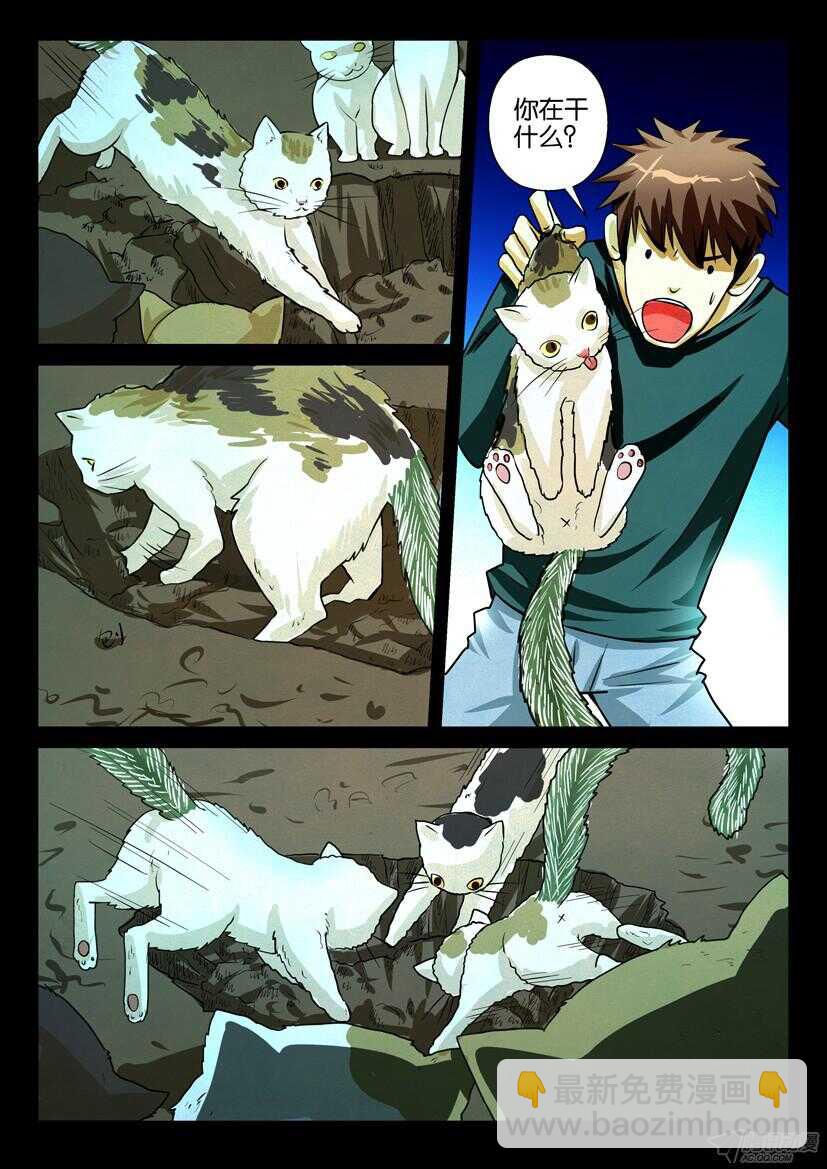 第一百六十九回 种猫6
