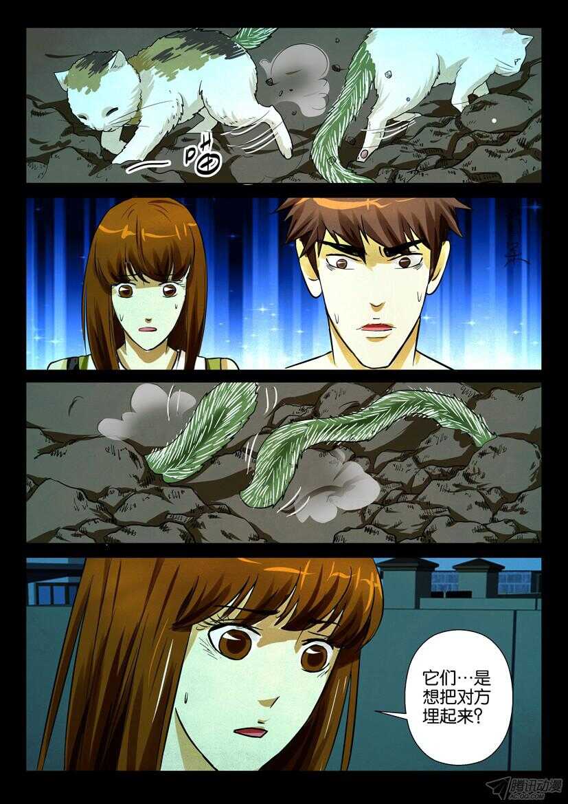 第一百六十九回 种猫7
