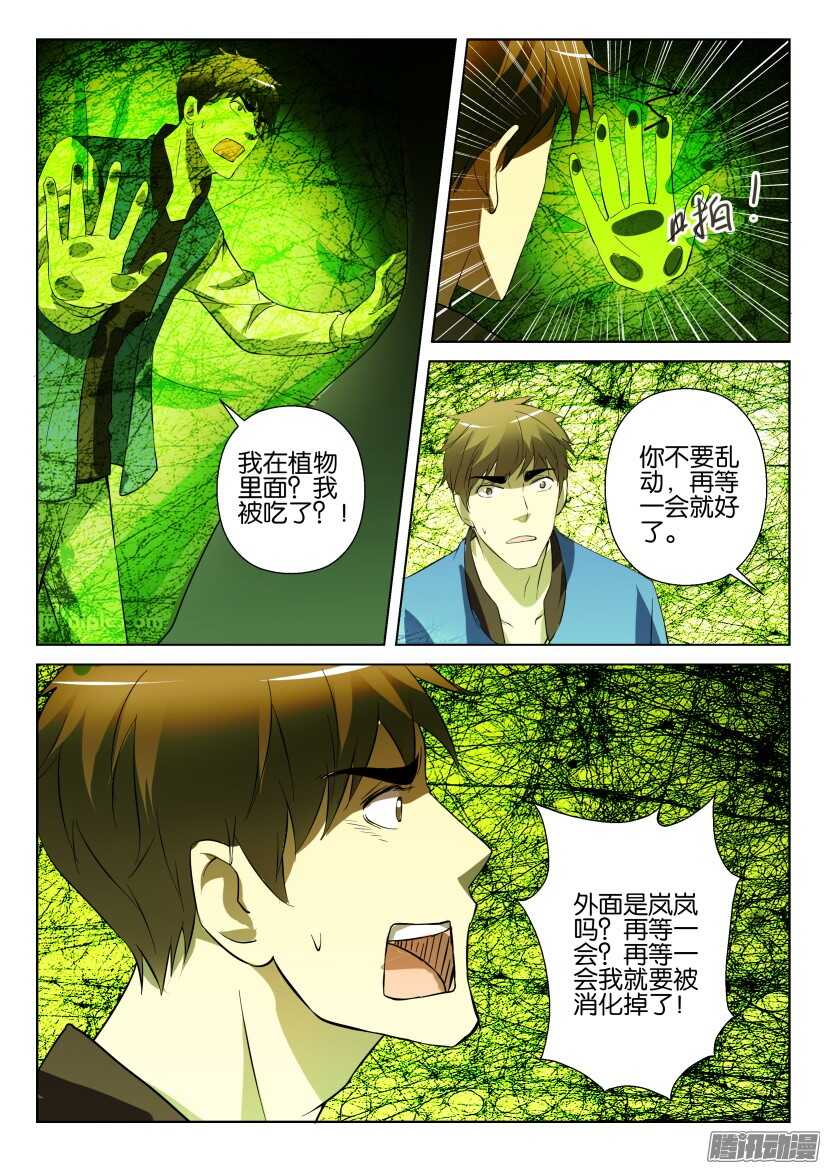 第277回 银扇草4