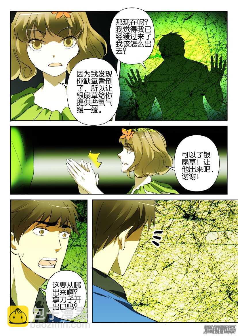 第277回 银扇草7