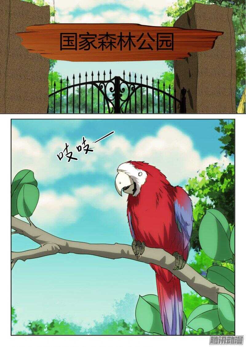 第323回 山谷之间1