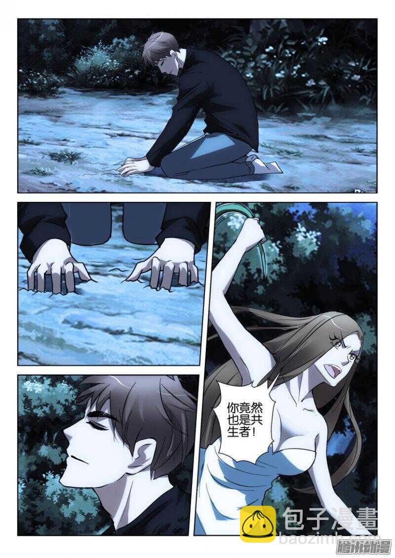 第366回 捕蝇草VS珍珠吊兰7
