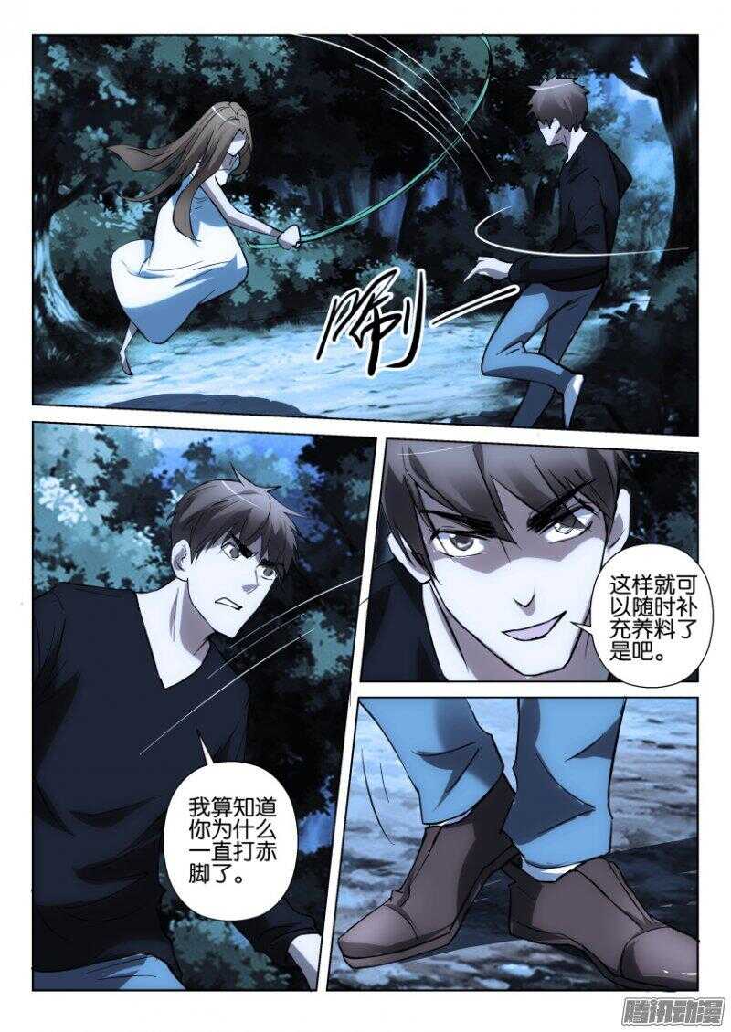 第366回 捕蝇草VS珍珠吊兰8